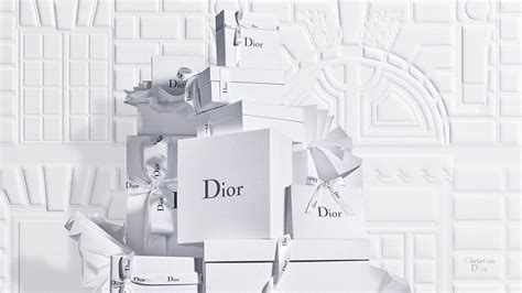 christian dior shop online|christian dior official website usa.